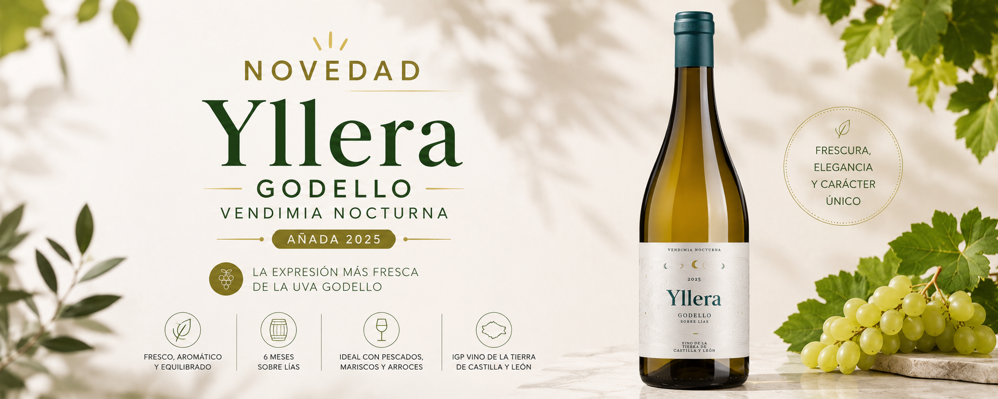 YLLERA GODELLO
